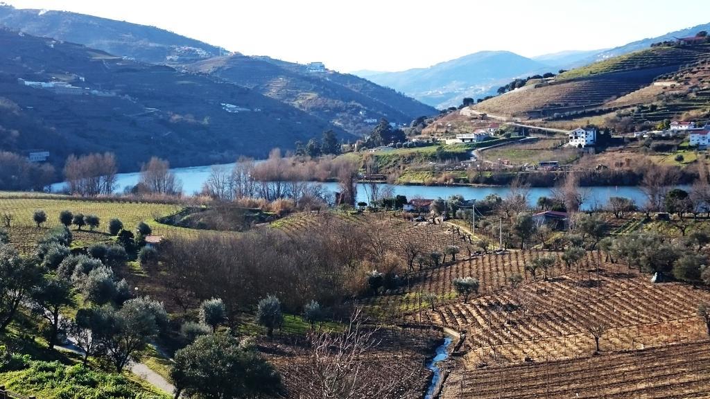 Casa Quinta Da Adega Do Chao - Vale Do Douro Villa Lamego Room photo